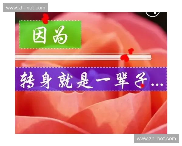推荐阵容：用懂你的组合点亮日常与事业
